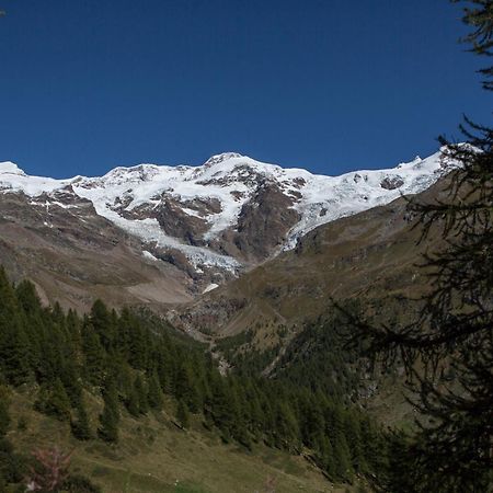 Hotel De Gletscher Gressoney-la-Trinité Exteriör bild